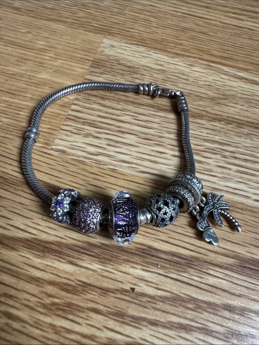 Pandora Bracelet and Charm Set